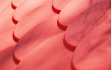 Aird A Mhachair plastic roof costs